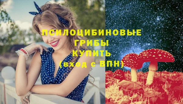 прущая мука Тобольск