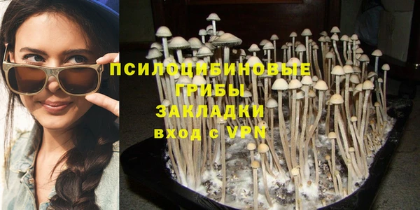 синтетический гашиш Сясьстрой